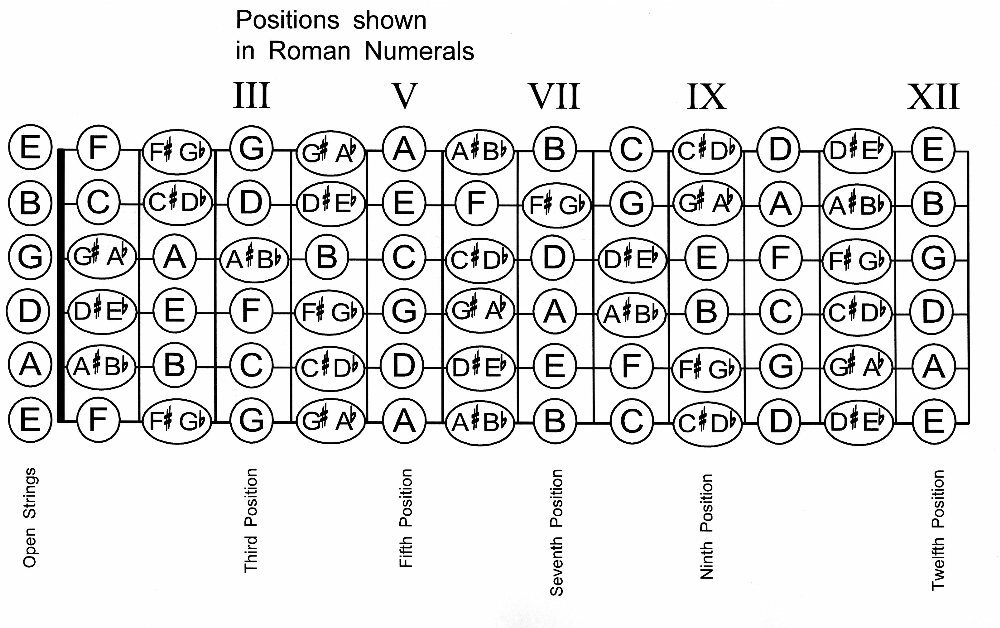 Guitar Fretboard Diagram